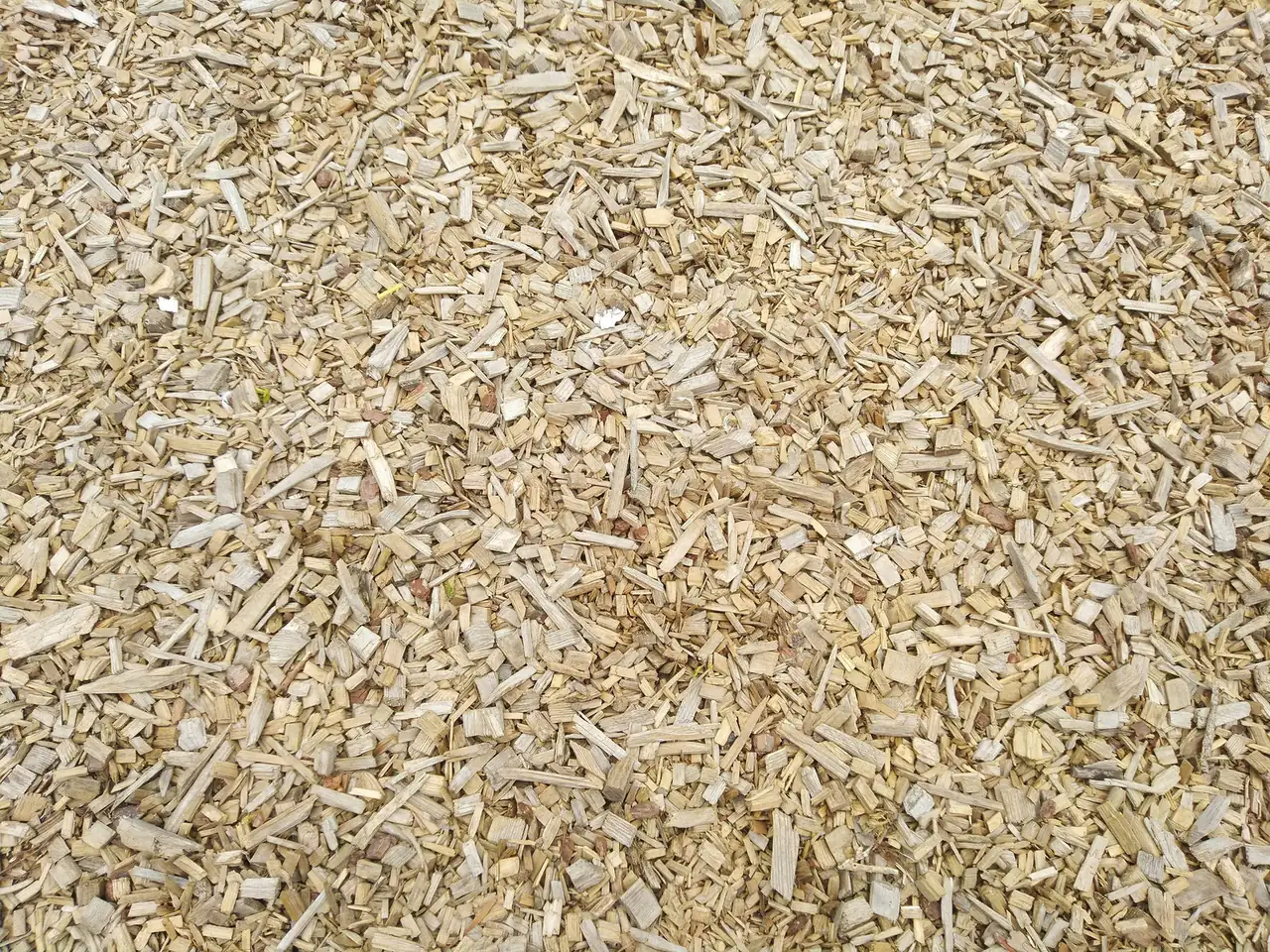 Aufgeschütteter Haufen heller Holzhackschnitzel aus der Nähe